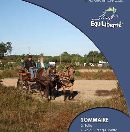Equil Info N°43 Decembre 2020