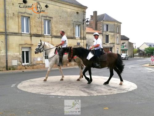 trans'anjou (12)