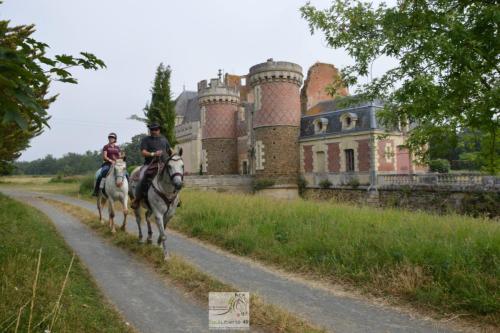 trans'anjou (20)