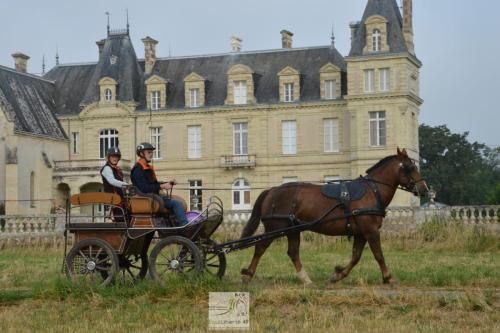 trans'anjou (25)
