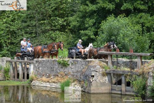 trans'anjou (350)