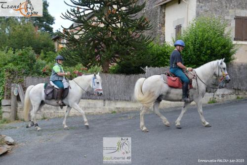 trans'anjou (360)