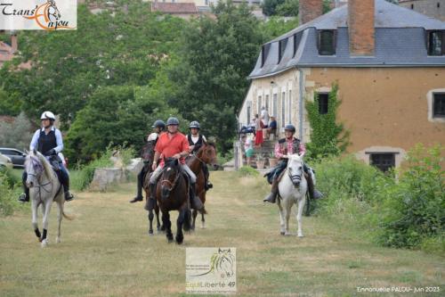 trans'anjou (362)
