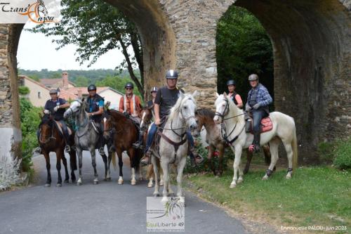 trans'anjou (389)