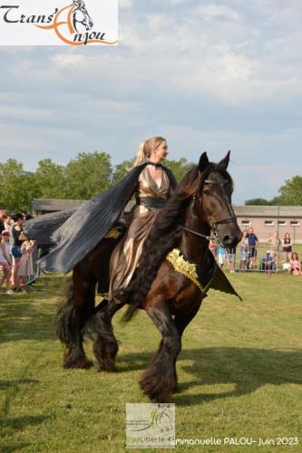 trans'anjou (400)