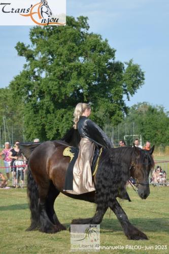 trans'anjou (403)