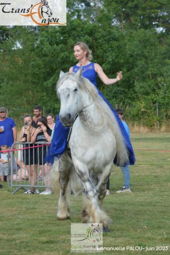 trans'anjou (406)