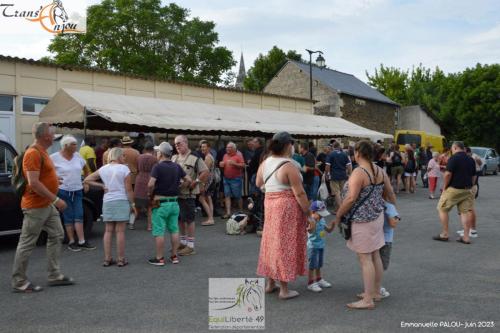 trans'anjou (422)