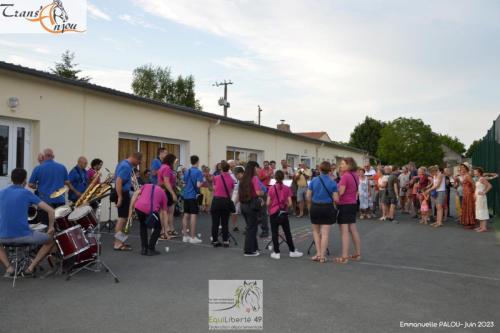 trans'anjou (426)
