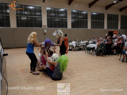 trans'anjou (438)