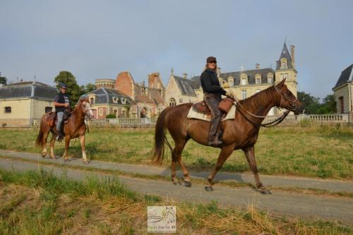 trans'anjou (44)